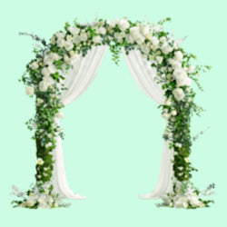 Event Decorations - Sarasi Flora