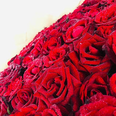 Infinite Eternal Romance - 150 Roses Flower Bouquet Delivery Sri Lanka