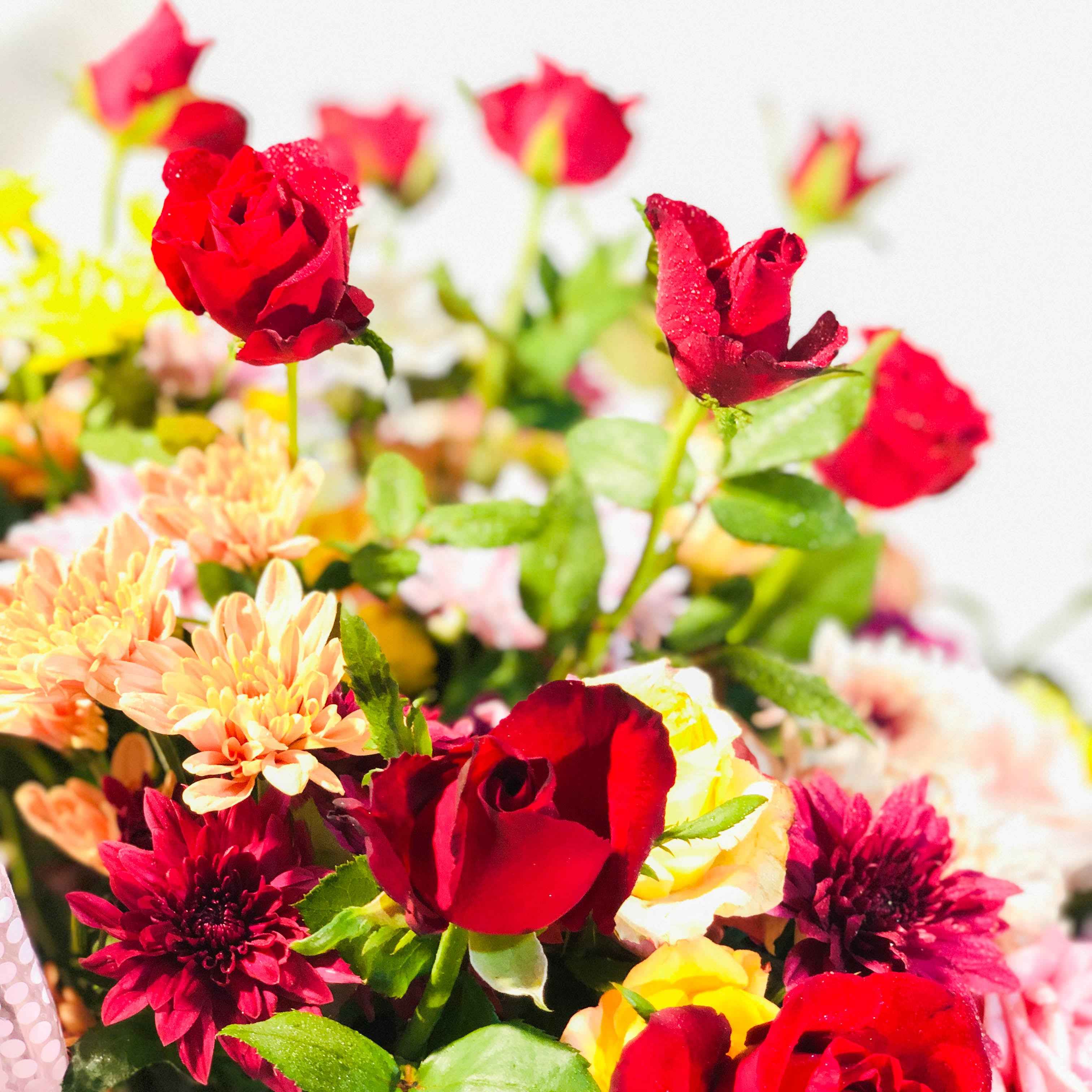 Surprise Luxury Bouquet